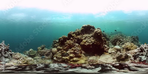 Underwater life in the ocean with coral reef and colorful fishes. 360 panorama.