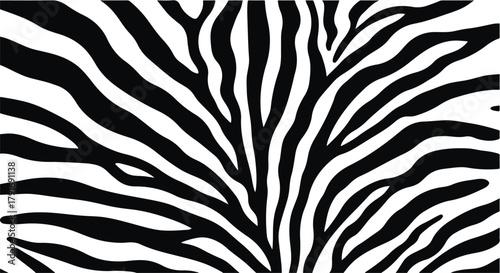 Abstract close-up of zebra stripes, showcasing a bold black and white pattern.