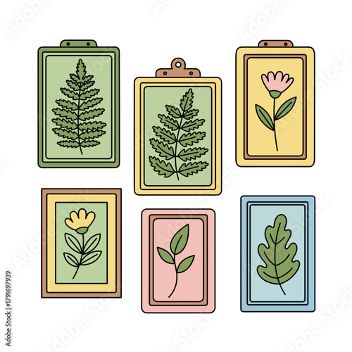 pressed plant frames
