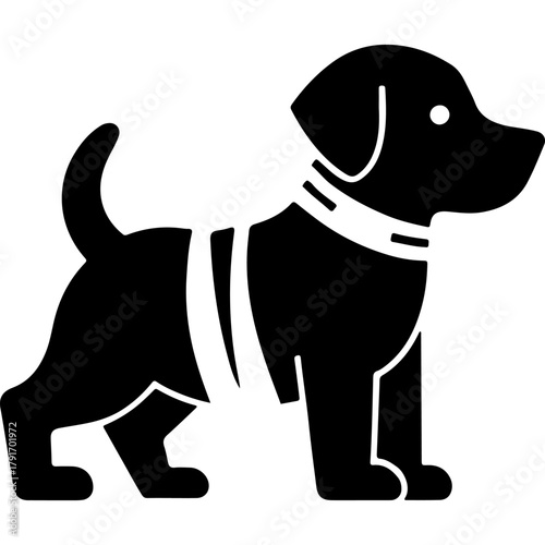 Puppy with bandaged ribs after visiting veterinary clinic. Engraving minimalistic vector in black ink drawing on transparent background