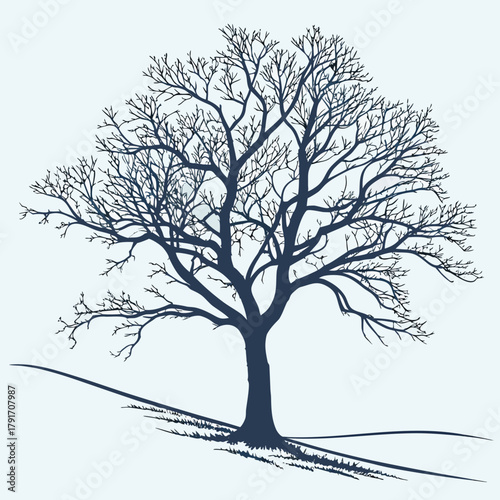 A bare tree stands alone on a small hill