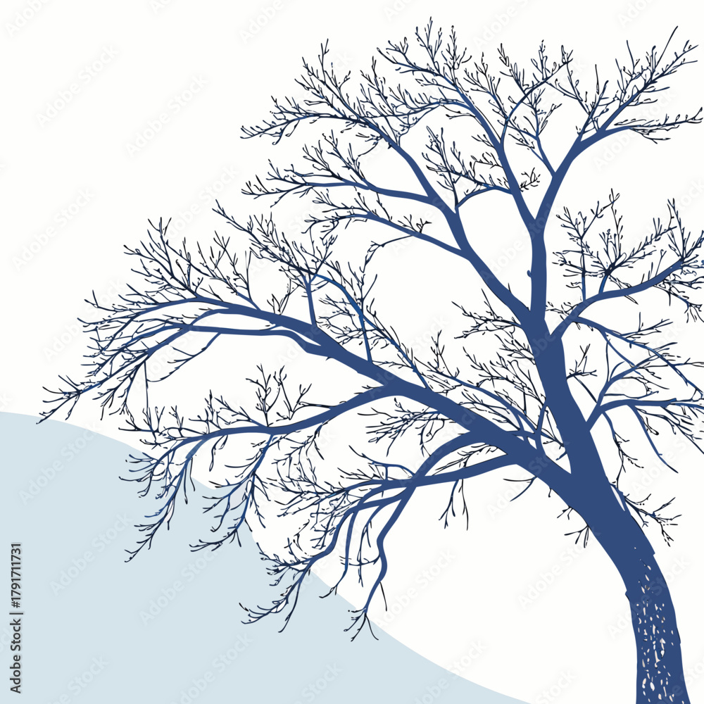 Obraz premium Bare tree in winter