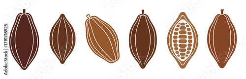 Cocoa pods and beans. Chocolate fruits brown color flat illustration set.