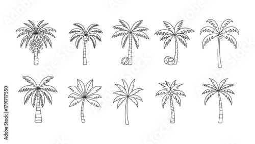 Collection of palm tree line art illustrations, perfect for tropical designs and projects