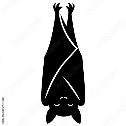 Silhouette of a sleeping bat