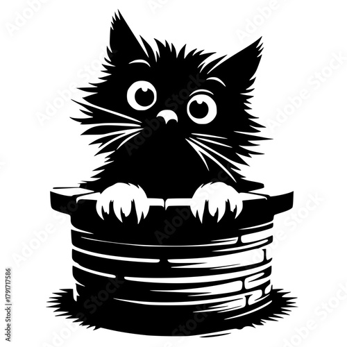 Silhouette of a cat appears