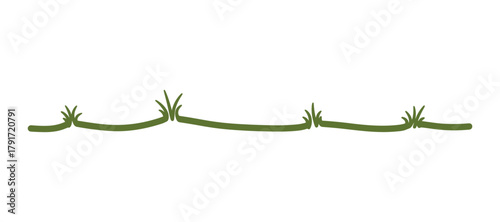 Green bamboo stem with leaves. Horizontal decorative line in nature inspired design.