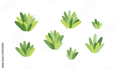 Green bush isolated on white background. Plant for garden, park or forest design