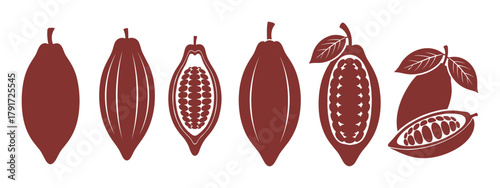 Set of cocoa pods and beans illustration. Whole and cut. Natural ingredient.