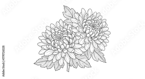 A delicate sketch of a blooming flower with intricate petals and leaves in a subtle monochrome style.