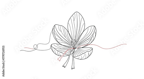 An elegant hand drawn floral illustration featuring a delicate orchid blossom with intricate details and graceful curving lines.