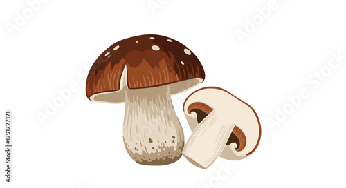 A delicious porcini mushroom and a slice showing its intricate gills inside its cap.