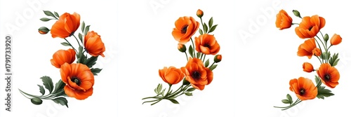 Vibrant Orange Poppy Flower Illustrations Set with Green Leaves