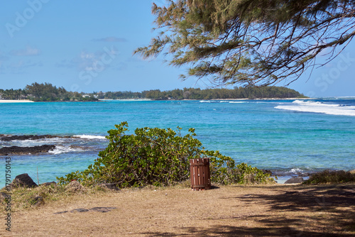 Fototapeta Naklejka Na Ścianę i Meble -  beach and trees