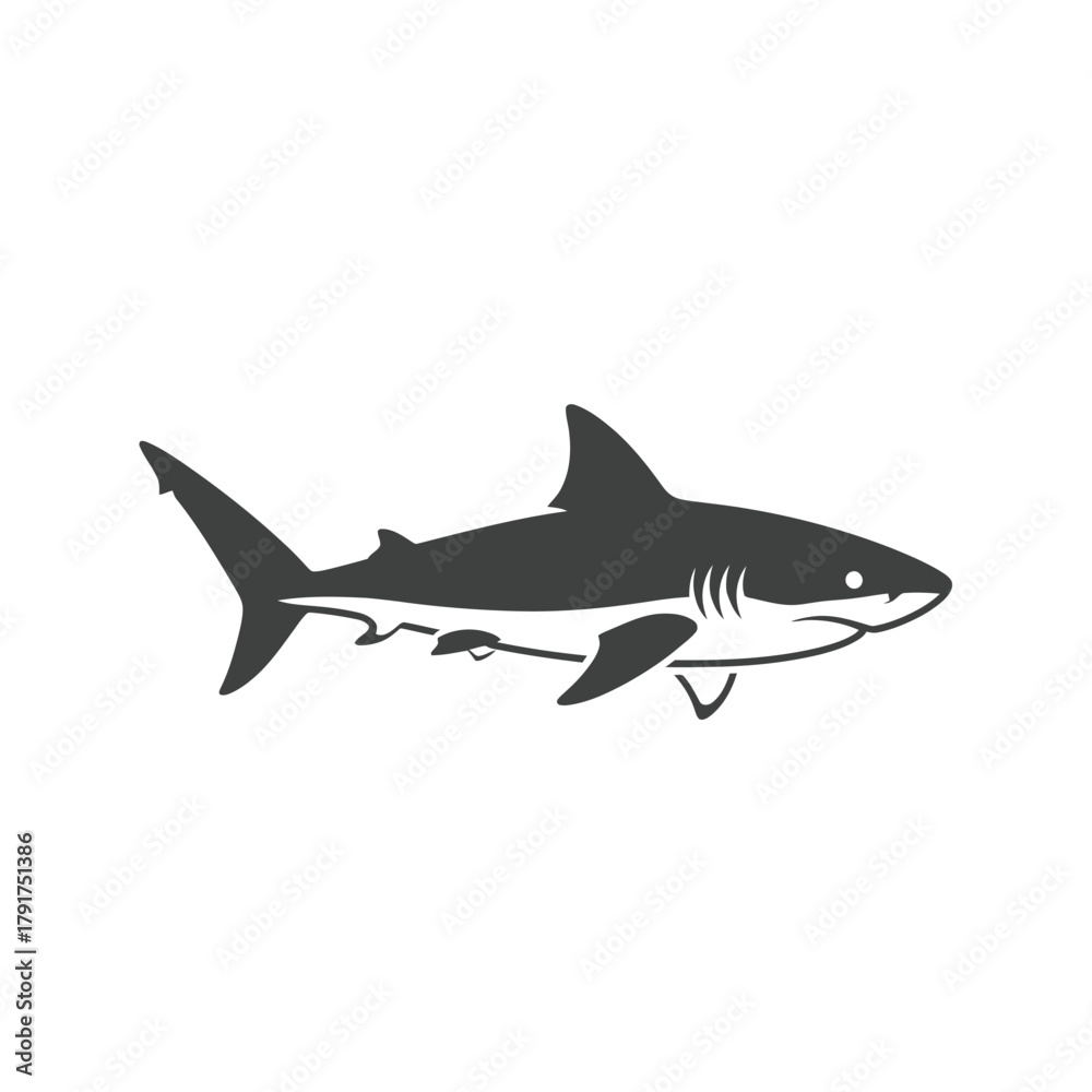Fototapeta premium Gray Shark Swimming