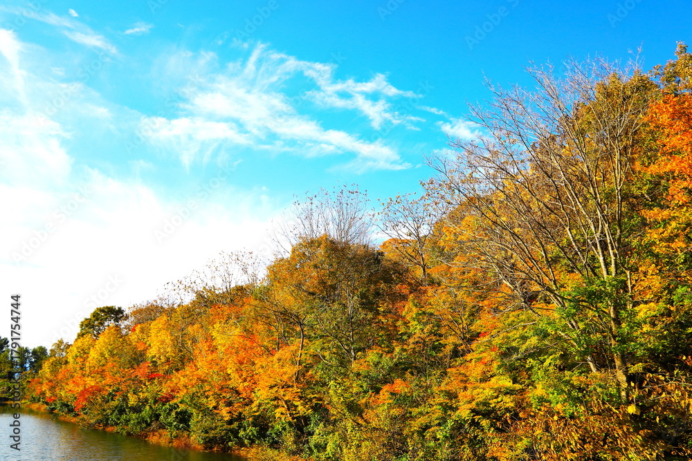 Fototapeta premium 池の畔の紅葉風景
