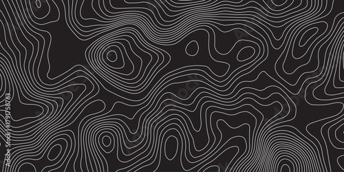 Abstract black background with elegant contour line patterns. Minimalist topographic map texture design, modern wavy lines creating fluid organic shapes, perfect for digital art and backgrounds.