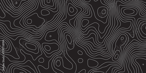 Abstract black background with elegant contour line patterns. Minimalist topographic map texture design, modern wavy lines creating fluid organic shapes, perfect for digital art and backgrounds.