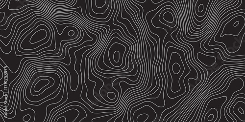 Abstract black background with elegant contour line patterns. Minimalist topographic map texture design, modern wavy lines creating fluid organic shapes, perfect for digital art and backgrounds.