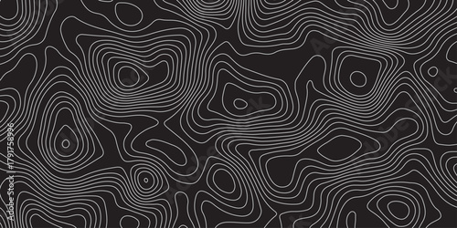 Abstract black background with elegant contour line patterns. Minimalist topographic map texture design, modern wavy lines creating fluid organic shapes, perfect for digital art and backgrounds.