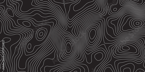 Abstract black background with elegant contour line patterns. Minimalist topographic map texture design, modern wavy lines creating fluid organic shapes, perfect for digital art and backgrounds.