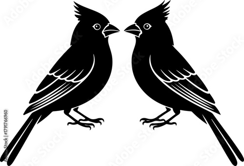 cardinal silhouette vector illustration