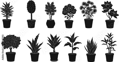 Collection of black silhouette potted plants and flowers, decorative indoor houseplants vector set, botanical garden elements for home decor and nature design illustration