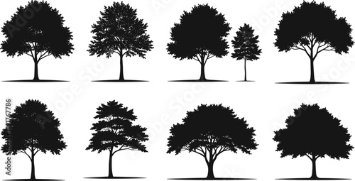 Collection of black silhouette potted plants and tropical houseplants, indoor botanical vector set for home garden, nature decor, and eco lifestyle illustration design