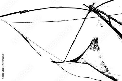 web fish, fisherman's net