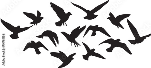 Collection of bird silhouettes in flight on white background