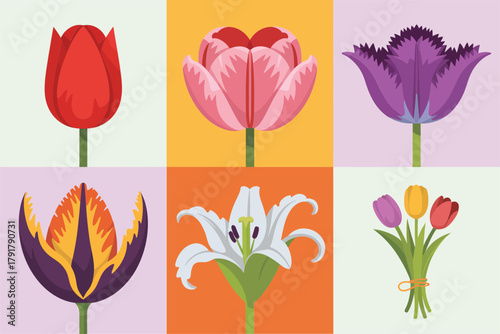 Flat color icons for flower shop, illustrating colorful tulips, lily, representing spring flowers and fresh blooms,