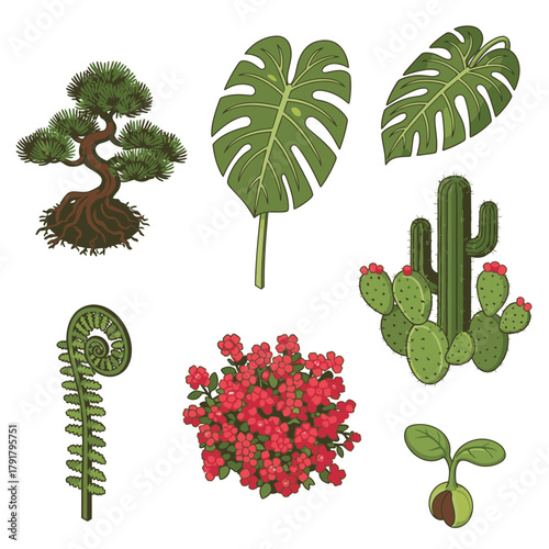 A collection of botanical illustrations, featuring a bonsai, tropical leaves, desert cacti, and a graceful fern, ideal for natural themes.
