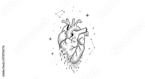 A captivating black and white illustration portrays a stylized anatomical heart with artistic drips, beautifully framed by subtle cosmic stars and constellations.