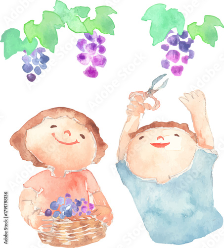 ブドウ狩りをする子どものイラスト
