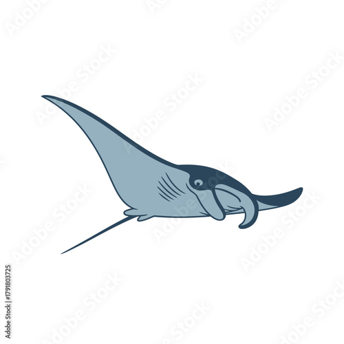 Elegant Stingray Gliding