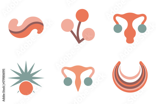 Female reproductive system vector icons with uterus fallopian tubes and ovaries, medical anatomy illustration for health education design