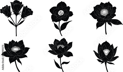 Black flower silhouette set, botanical vector collection, floral design elements, minimalist tattoo art, lotus and peony illustrations
