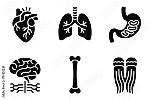 Flat color icons for human body, illustrating brain, heart, bones, representing internal organs and health,