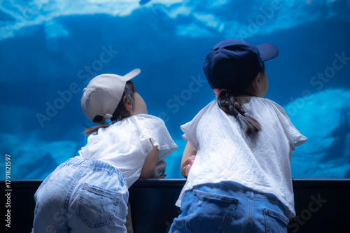 水族館の大きな水槽を見つめる子どもたち