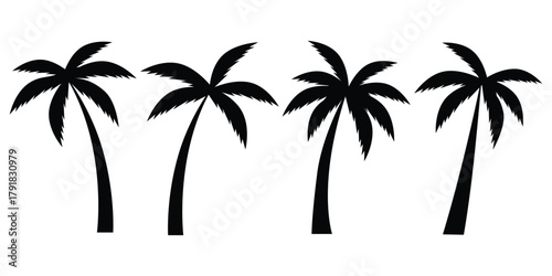 palm tree silhouette collection.