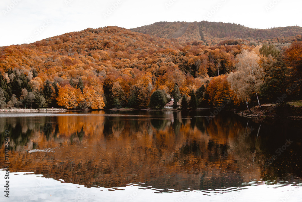 Fototapeta premium utumn lake reflection of forest in Maramures mountains, Romania. Rural magical landscape photography of nature covered in fall colors