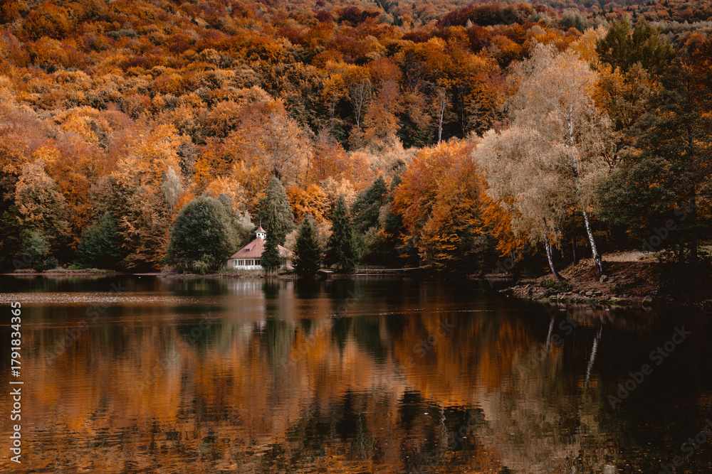Fototapeta premium utumn lake reflection of forest in Maramures mountains, Romania. Rural magical landscape photography of nature covered in fall colors