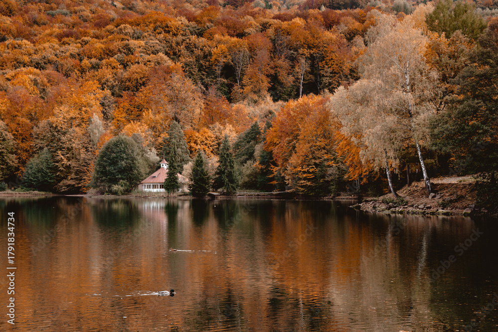 Fototapeta premium utumn lake reflection of forest in Maramures mountains, Romania. Rural magical landscape photography of nature covered in fall colors