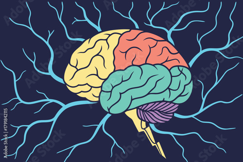 Illustration of a Human Brain with Neural Connections and Branches on a Dark Blue Background