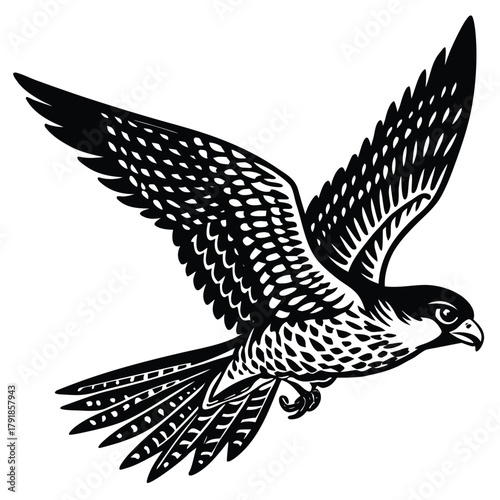 Illustration of black silhouette falcon flying with open wings in the air