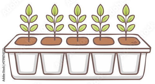 Young plants sprouting in a white seedling tray for planting gardening concept.