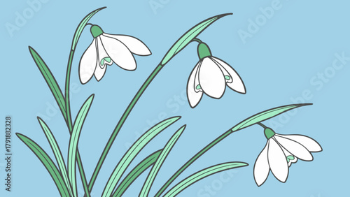Snowdrop flower illustration vector art with spring blossom and floral design for garden decor element