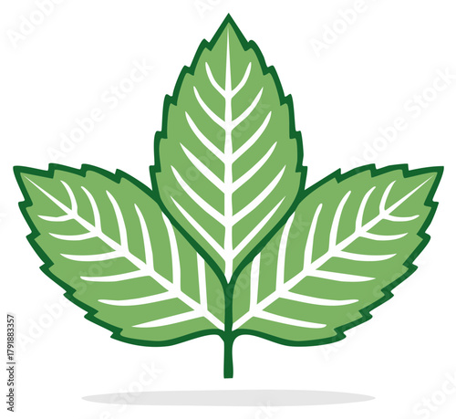 Green mint sprig with three leaves vector icon simple flat design illustration
