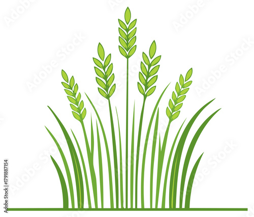 Green wheat stalks and rice paddy illustration representing agriculture growth and harvest