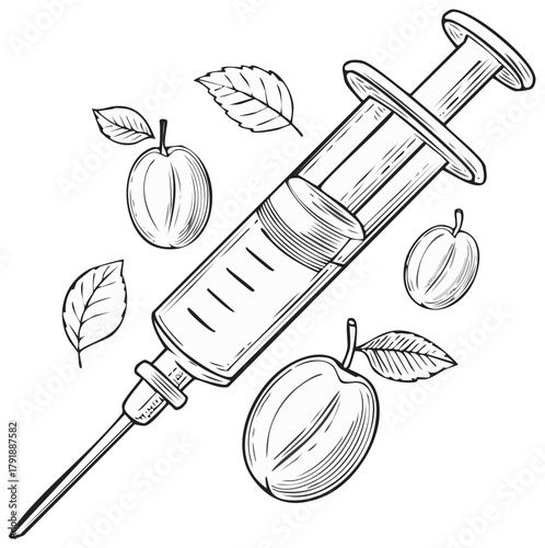 Plum Extract Injection Drawing: Natural Remedies and Fruit Injections Illustration